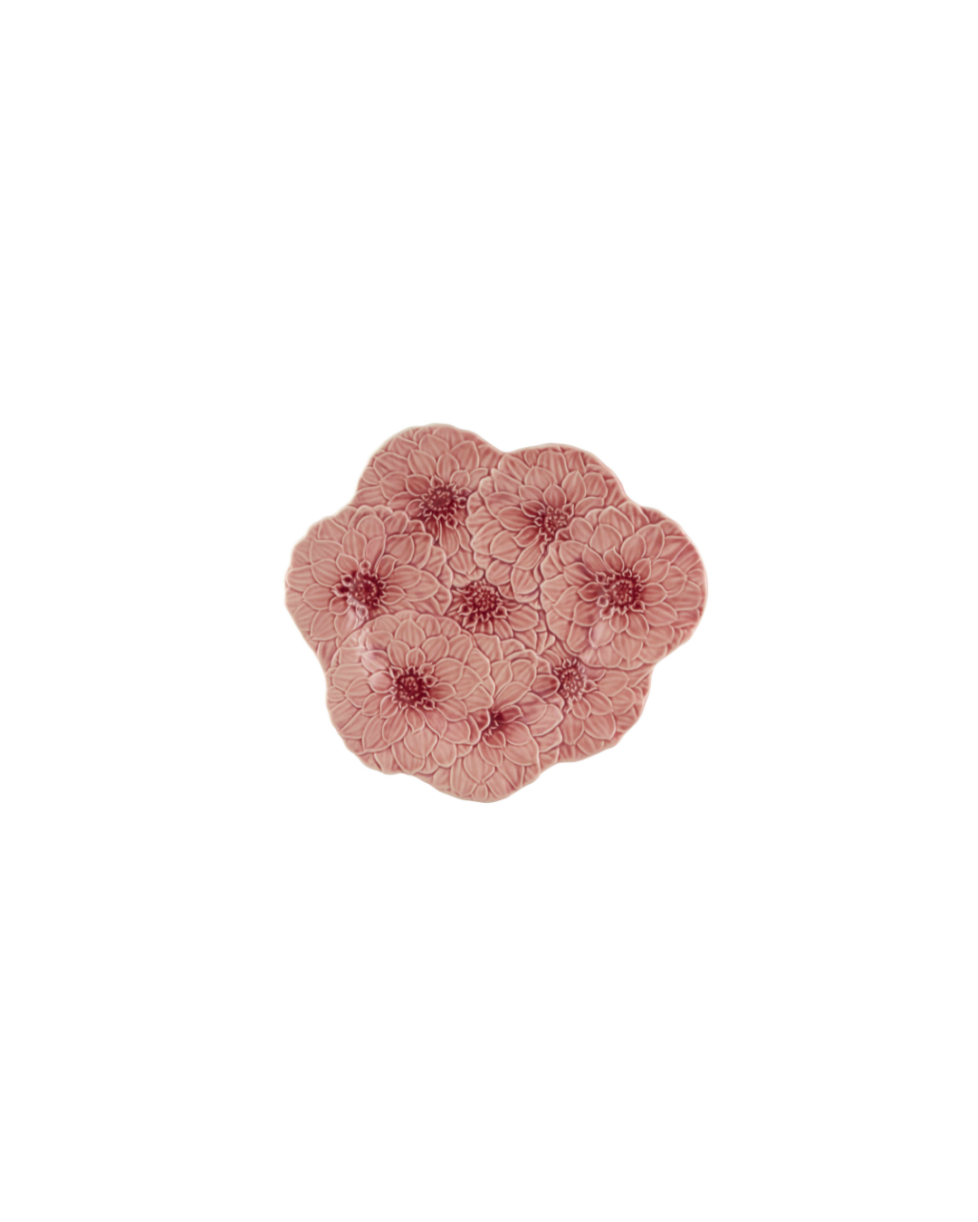 Maria Flor Prato Raso