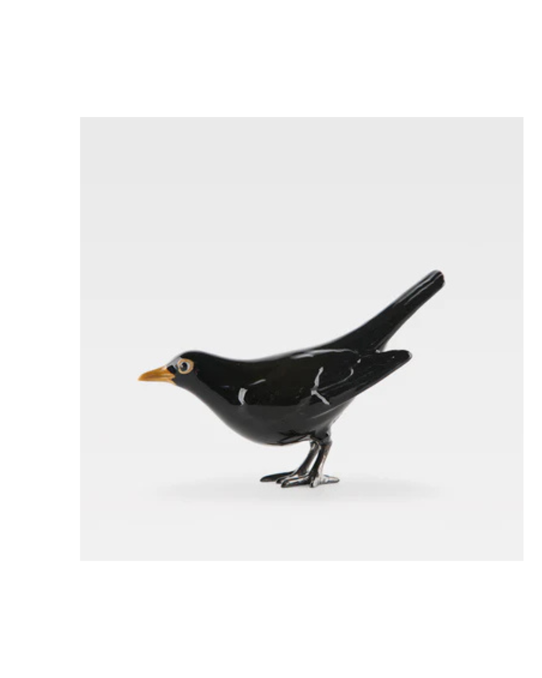 Laboratório d' Estórias Um Melro, Evidentemente