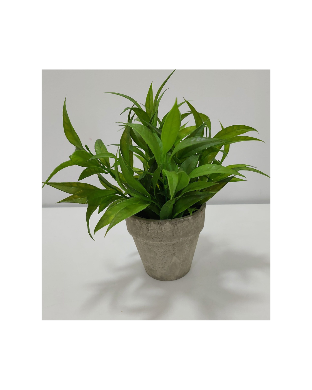 Vaso Cinza com Verdura