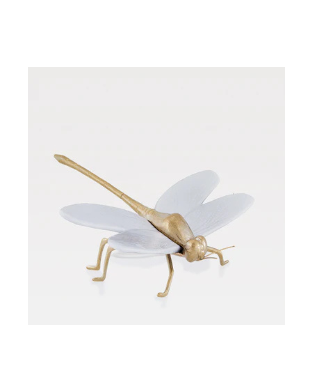 Laboratório d'Estórias O Voo da Libelinha