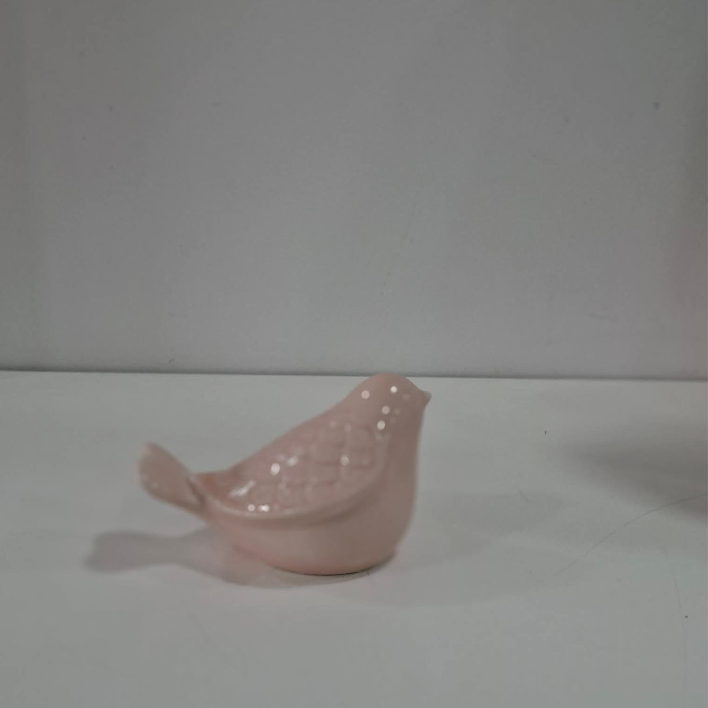 Pássaro Rosa