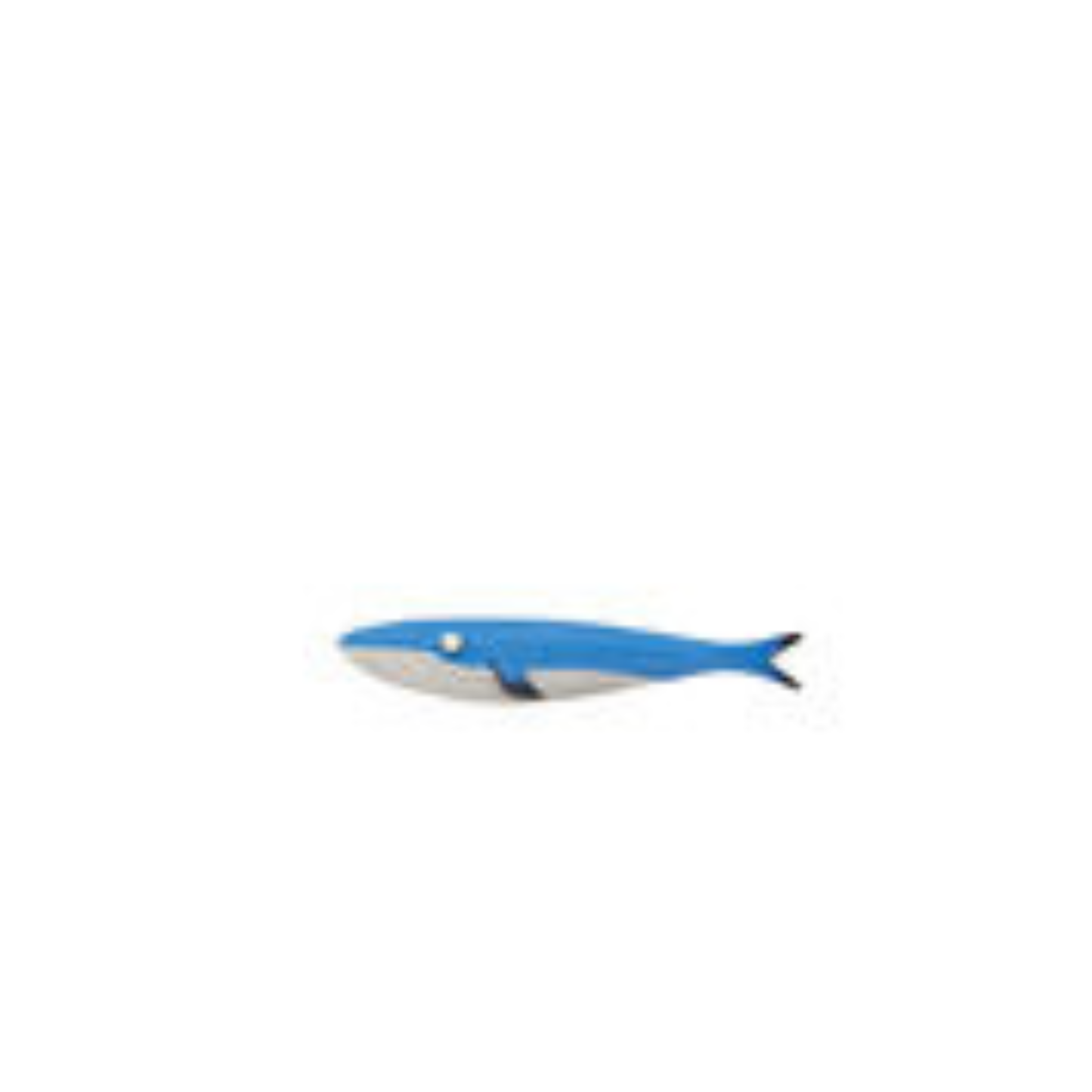 Sardinha Açores by Joao Vaz de Carvalho