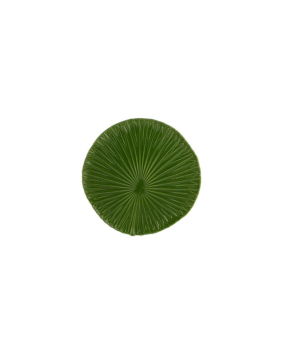 Amazónia Prato Marcador