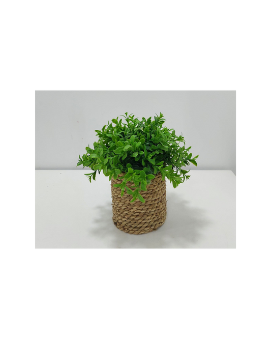 Vaso Verdura com Corda