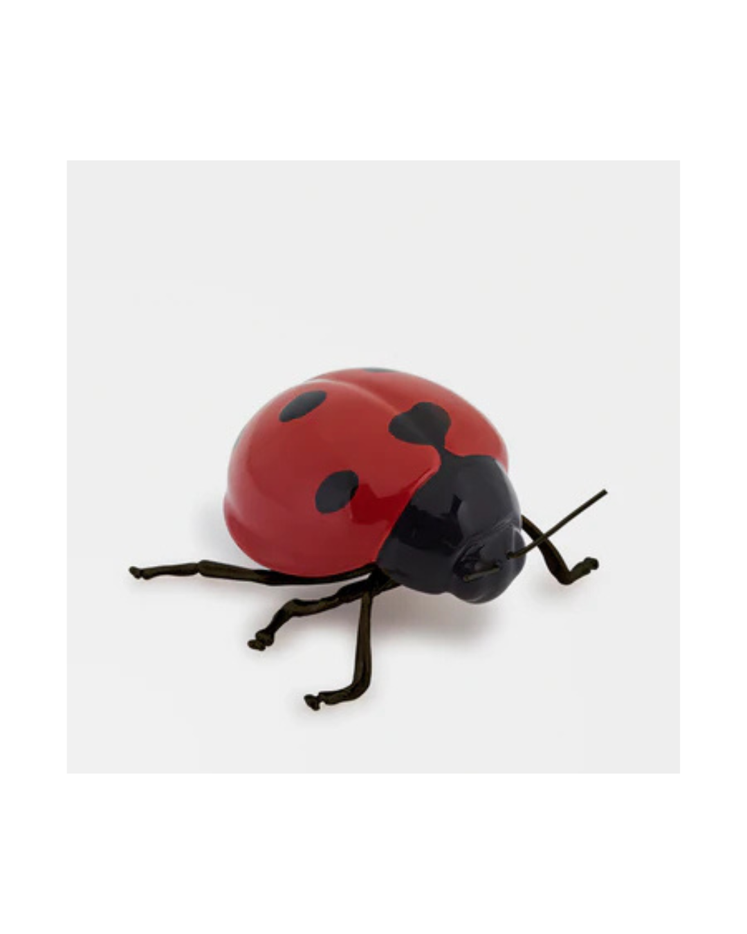 Laboratório d' Estórias Joaninha,  Voa, Voa