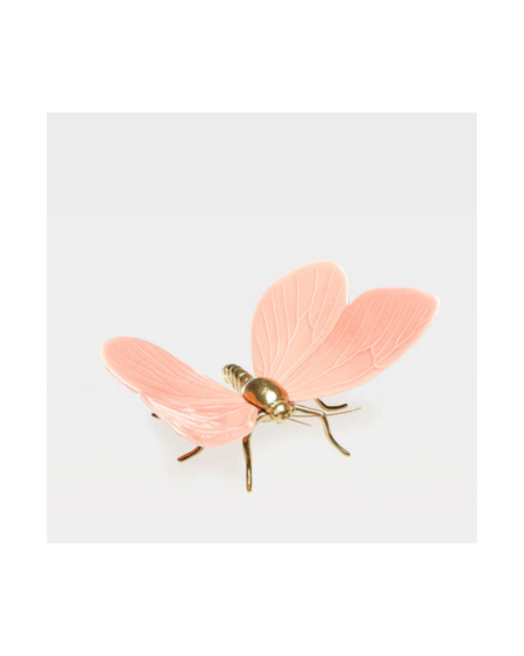 Laboratório d' Estórias  Esperança na Vida das Borboletas