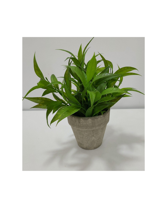 Vaso Cinza com Verdura