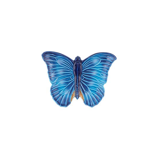 Cloudy Butterflies Vide Poche