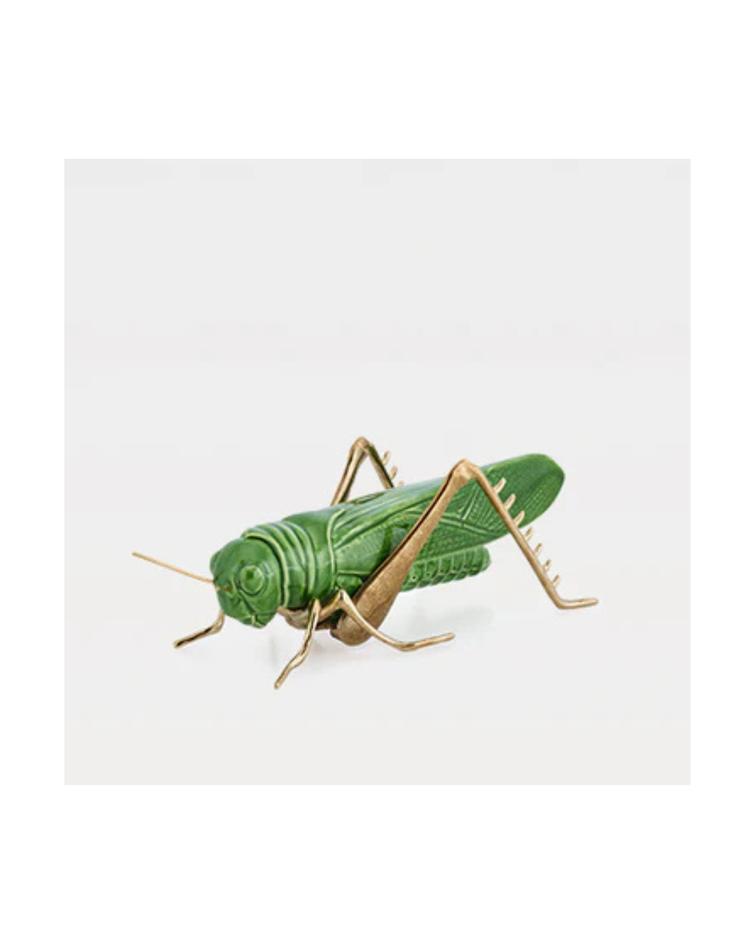 Laboratório d'Estórias A Quietude do Gafanhoto