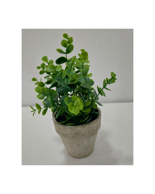 Vaso Cinza com Verdura