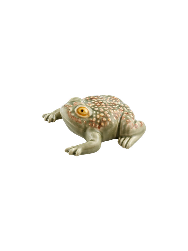 Sapo Sapo Grande
