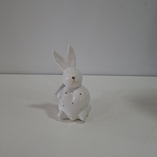 Coelho branco c/ coração