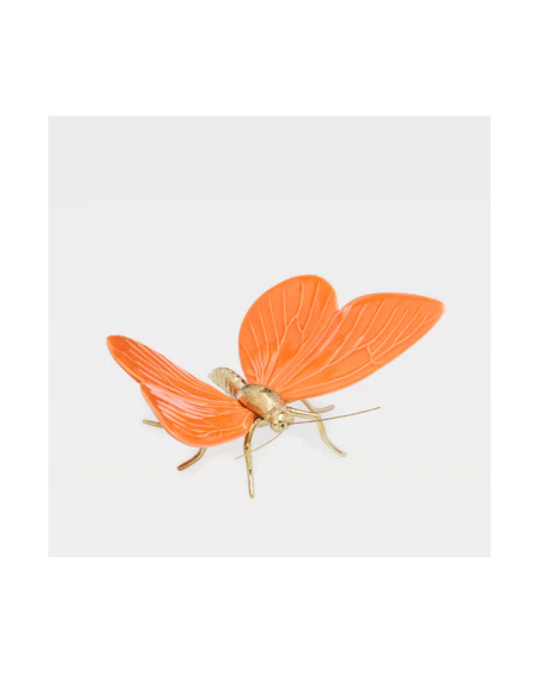 Laboratório d' Estórias  Esperança na vida das Borboletas