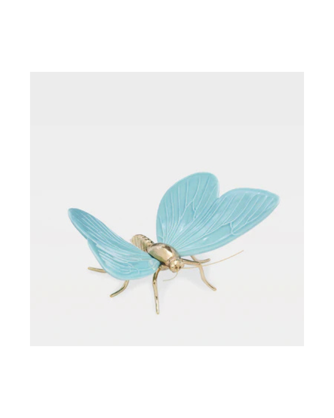 Laboratório d' Estórias  Esperança na vida das Borboletas