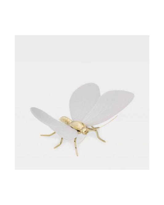 Laboratório d' Estórias Esperança na Vida das Borboletas