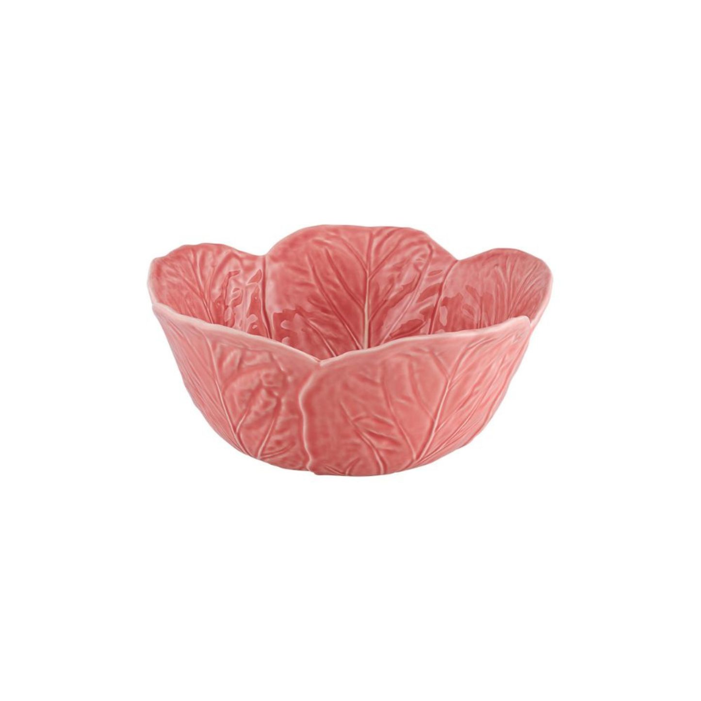 Couve Saladeira Pequena